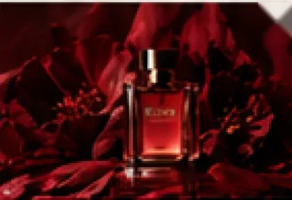 The Signature Collection