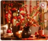 Combo Cây cảnh - Phụ kiện